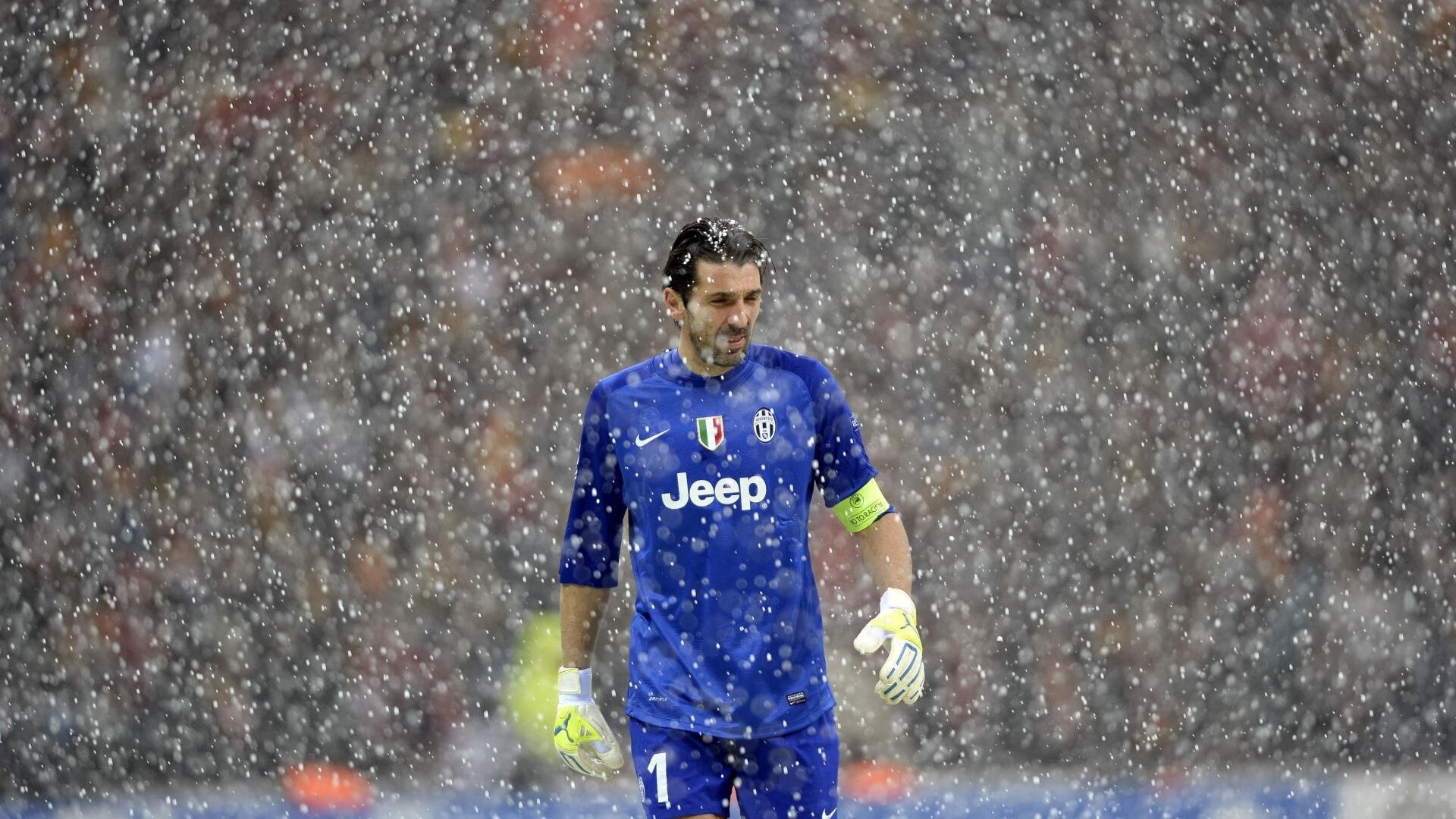 澳女将破全国纪录再创辉煌，澳网女冠军